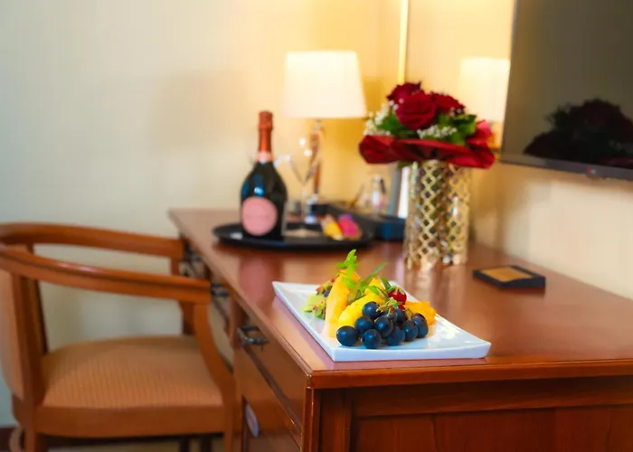 酒店 Bristol 奥帕提亚