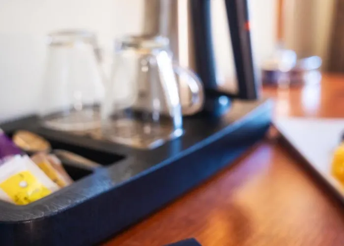 Bristol 奥帕提亚